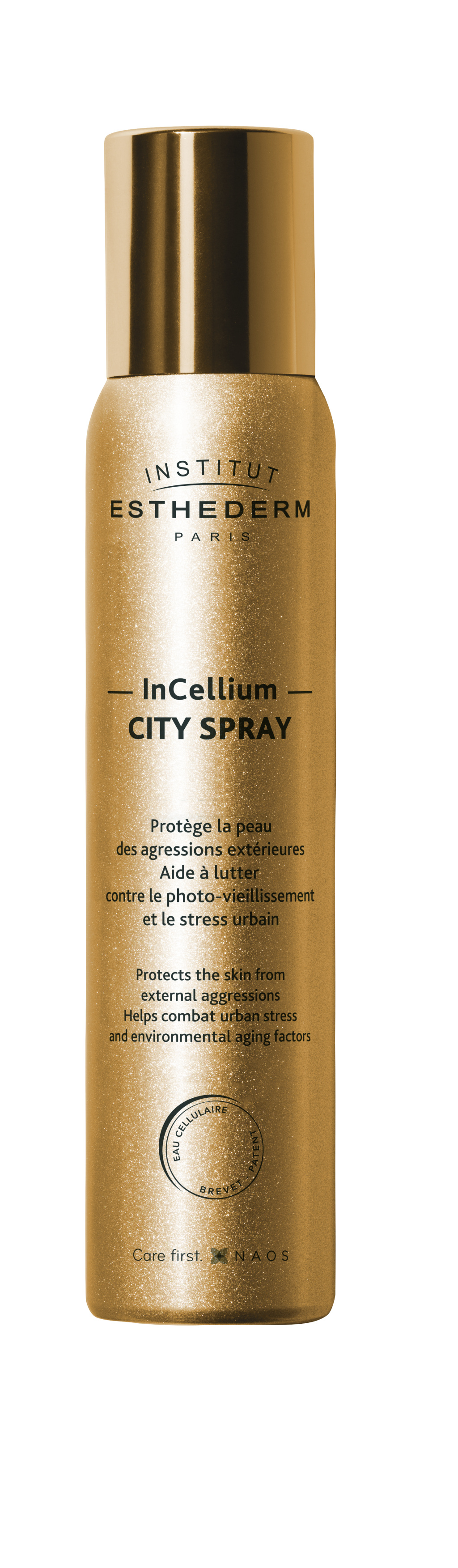 Защитный спрей City Spray 100